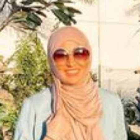 Shop Chiffon in Rosewood