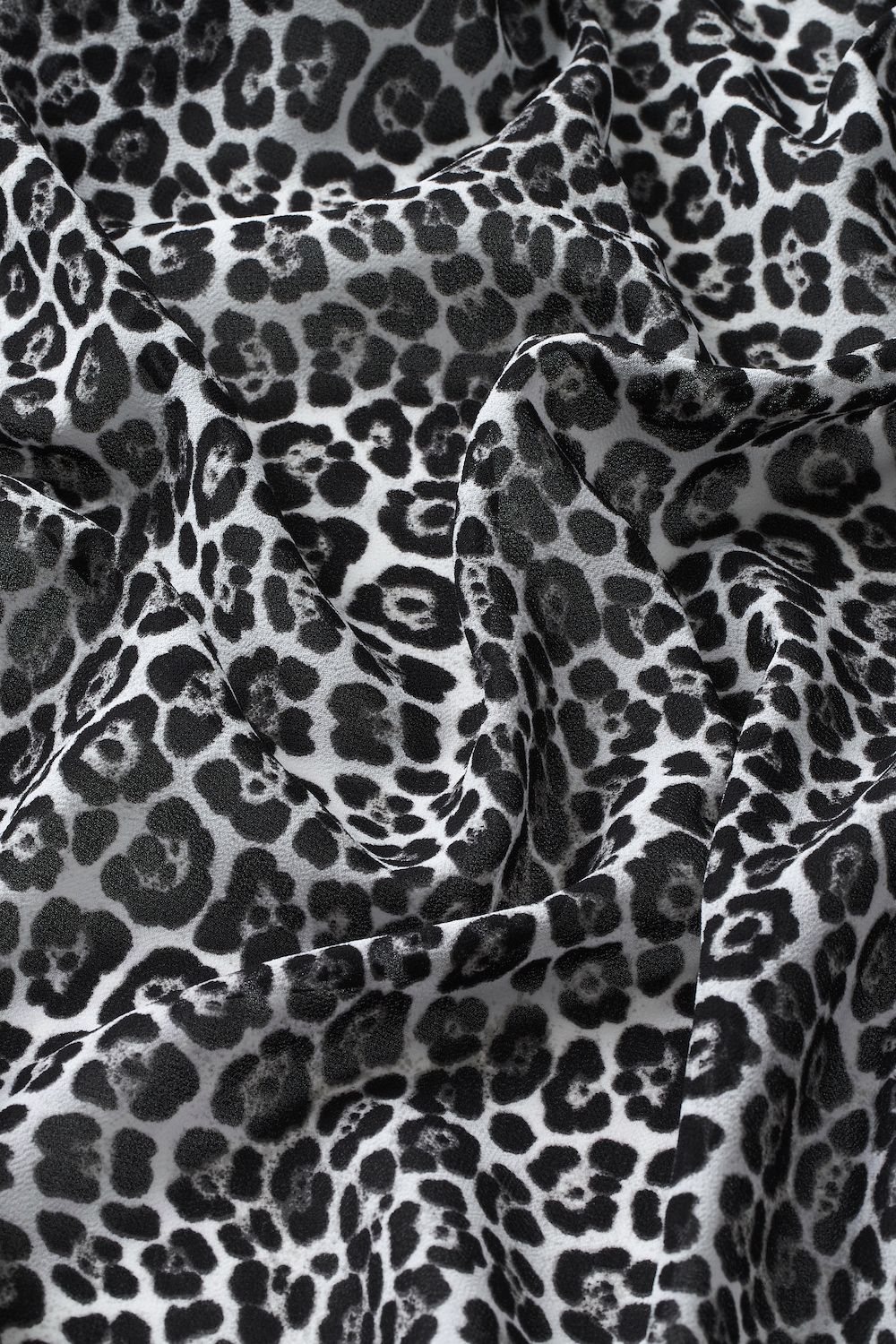 Shop Leopard Chic 